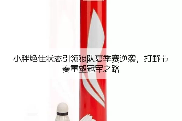 小胖绝佳状态引领狼队夏季赛逆袭，打野节奏重塑冠军之路